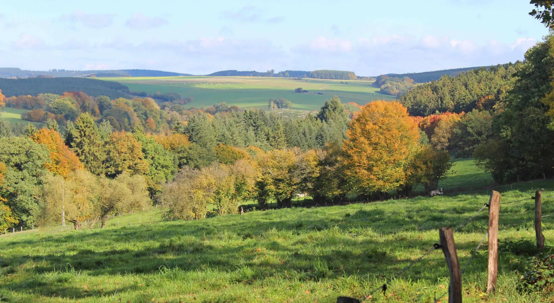 De leukste campings in de Ardennen