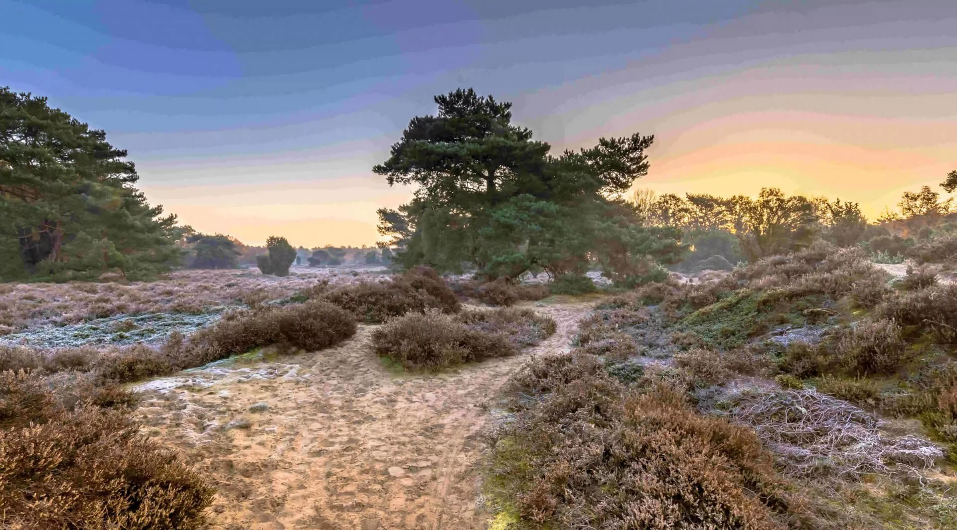 De leukste campings in Drenthe